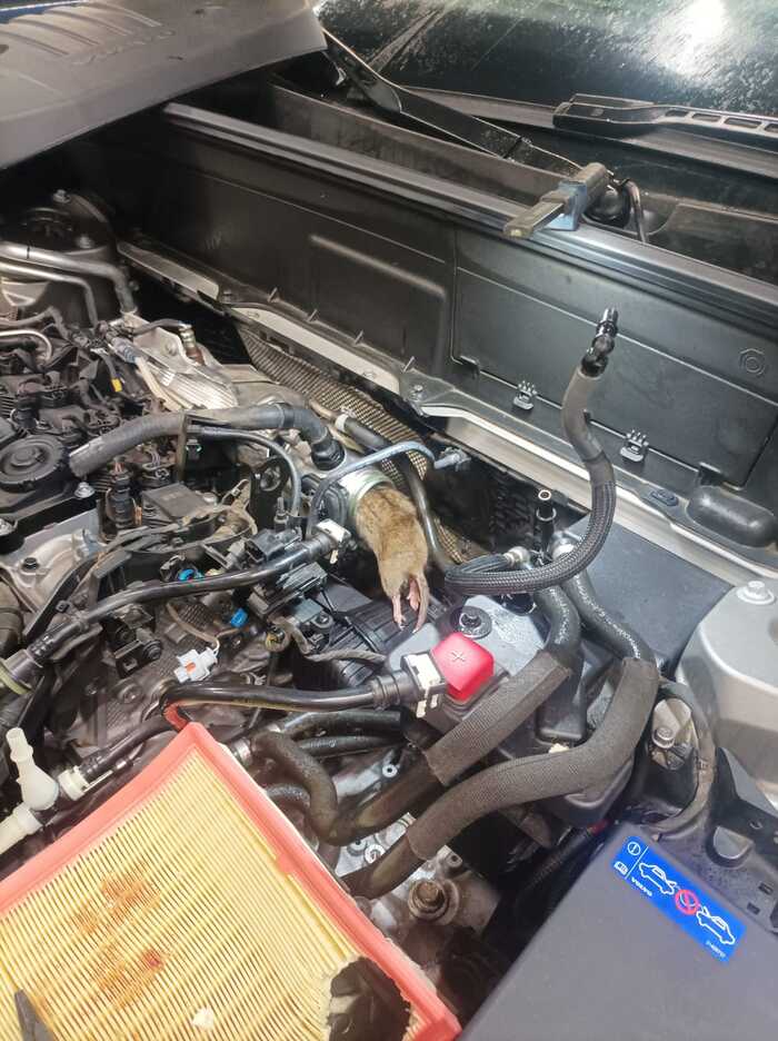 ����� �� � �� �����(