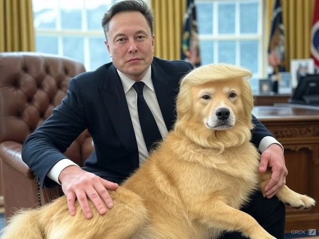 Elon Musk and his new business partner! - Politics, USA, Neural network art, Elon Musk, Dog