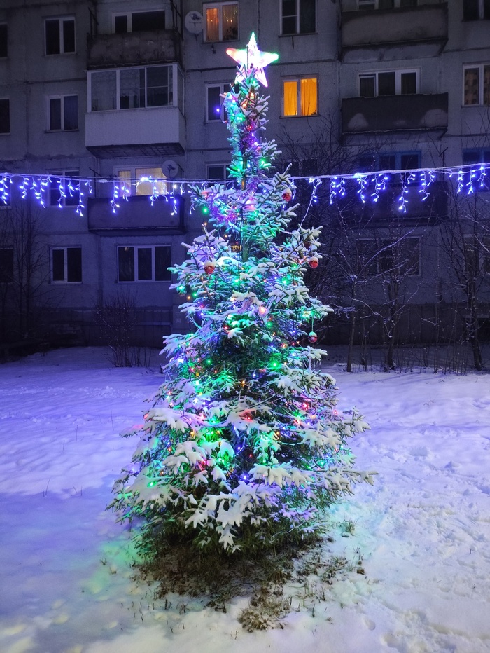 Я увидел красивые дома