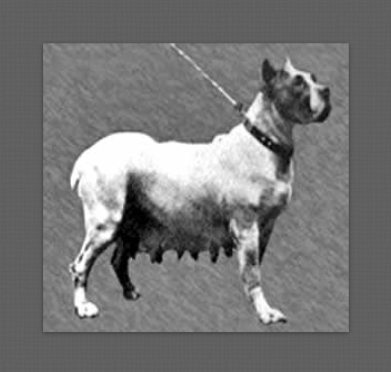 Meta v.d. Passage 30