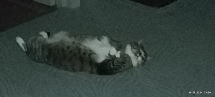   ... , , , , , 