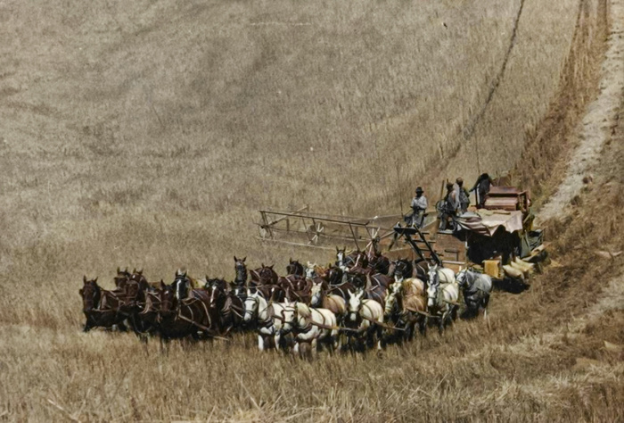 Подборка интересных и необычных фотографий из США. 20 раскрашенных фотографий ХХ века. Часть XIV Старое фото, Историческое фото, Фотография, США, 20 век, Колоризация, Длиннопост