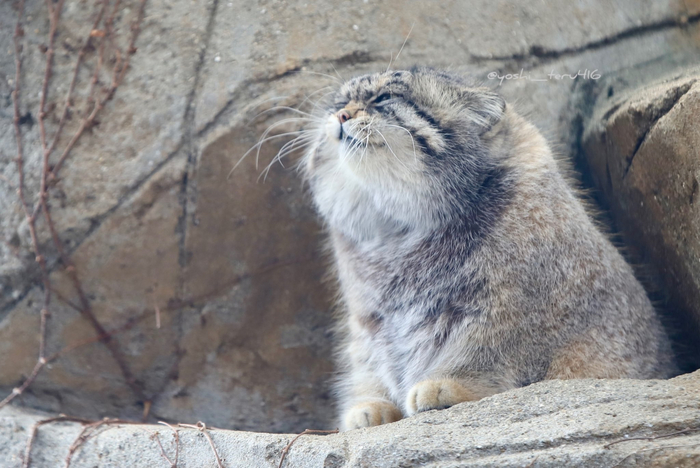 ��� � ����������� ���, ��� ������� ������ �������� �� 11