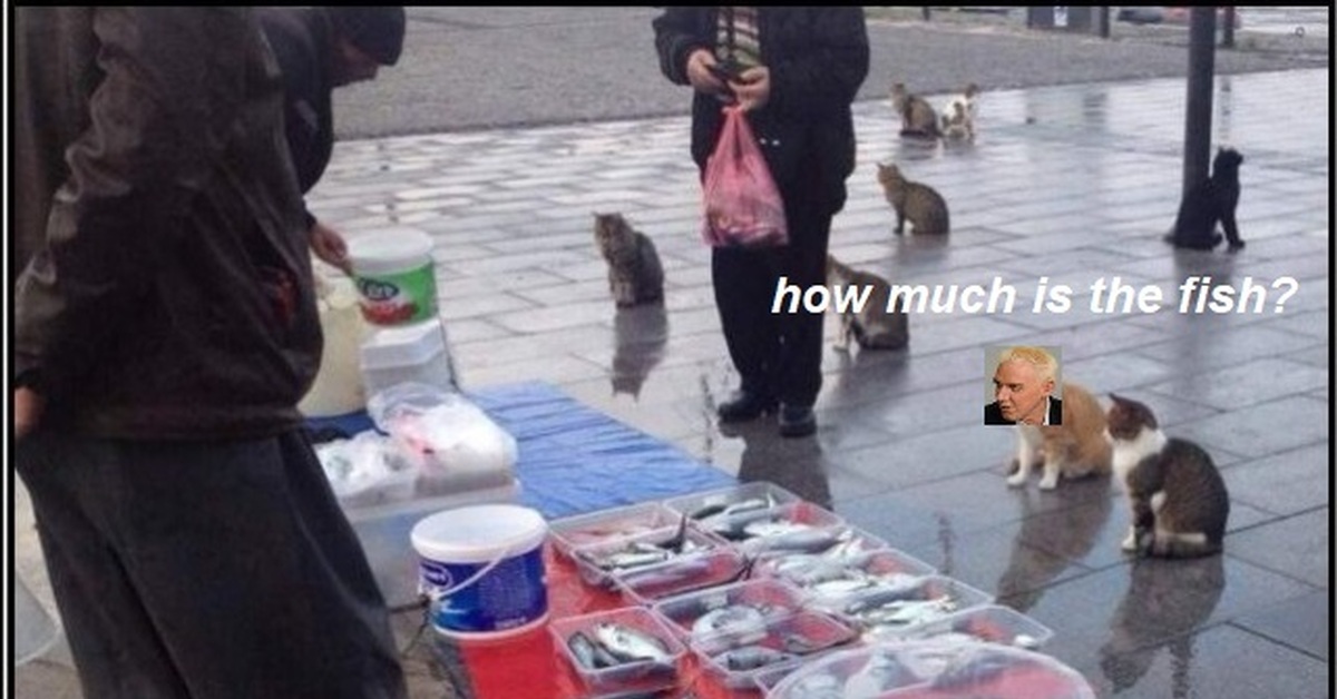 How Much Is The Fish Auf Deutsch How much is the fish? | Пикабу