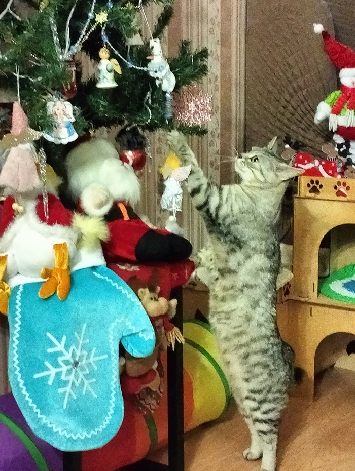, ,   ,  ,  ,  ,  , 