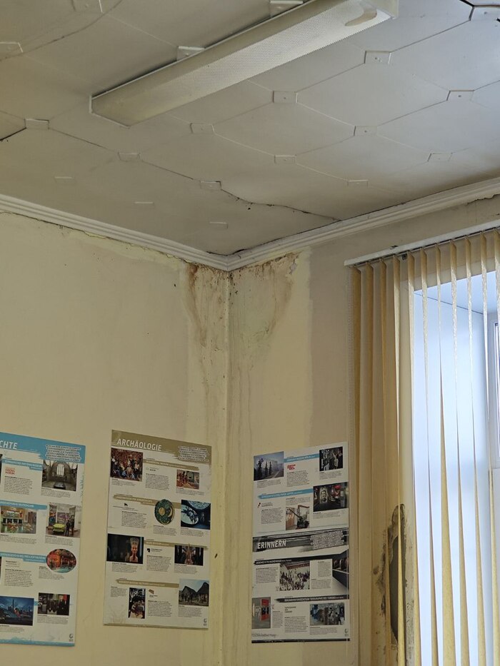 ����������? 