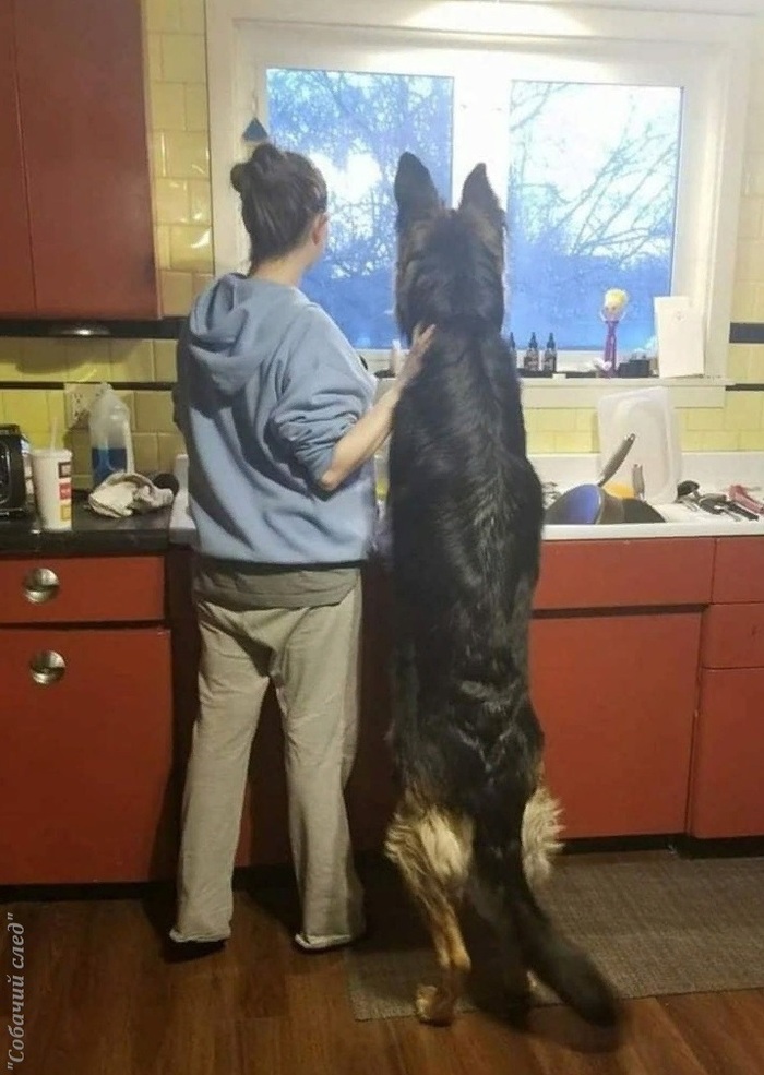 &quot;,       &quot;