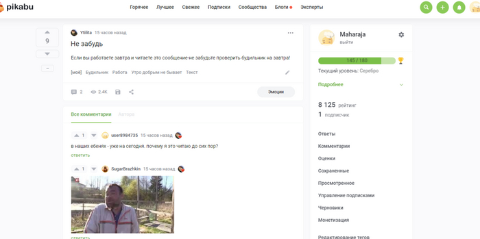 ИИ на пикабу?