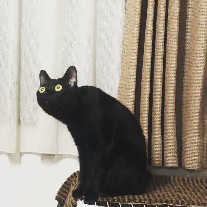     ? , , , ,  , , , 