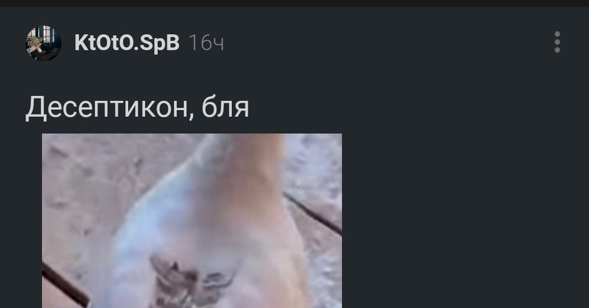 Десептикон | Пикабу
