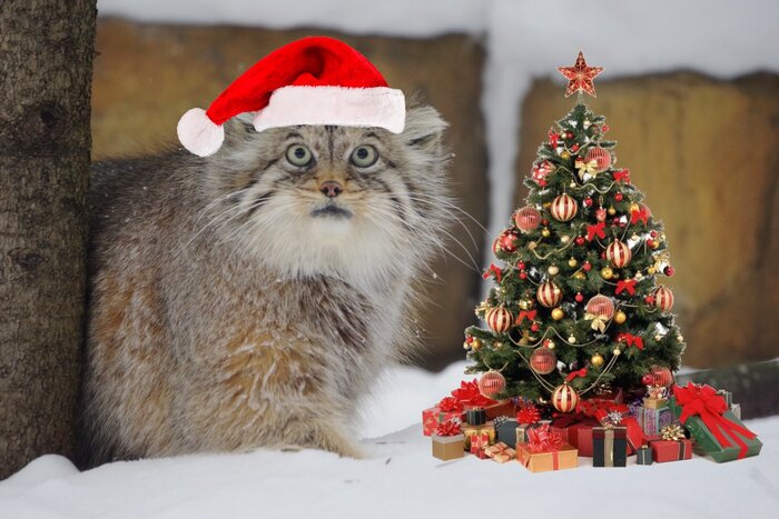 ���� ��� ��������?  � ��� ������ �������