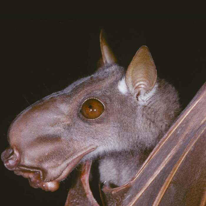    ,  , ,  , , , , 