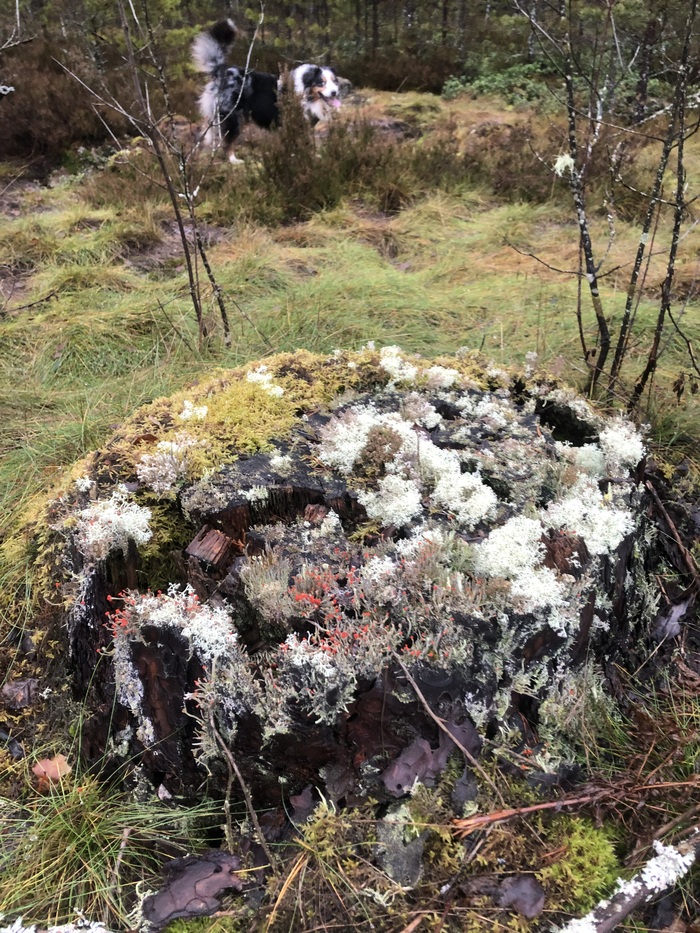  - ,    . (  -         ,   ^^)