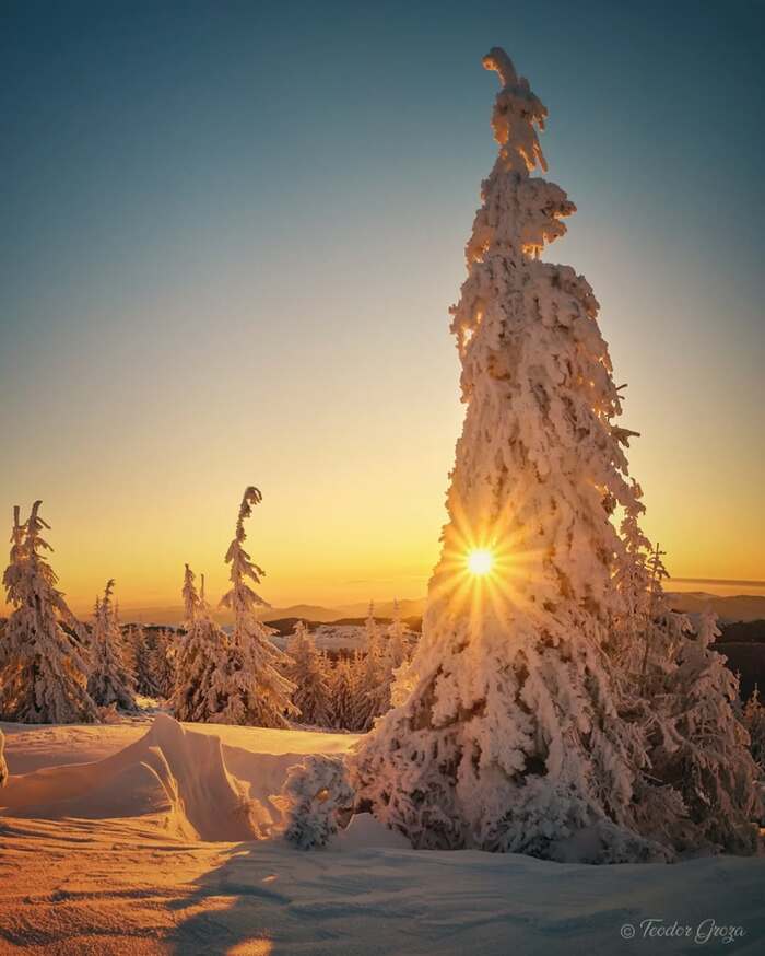 Зимнее утро