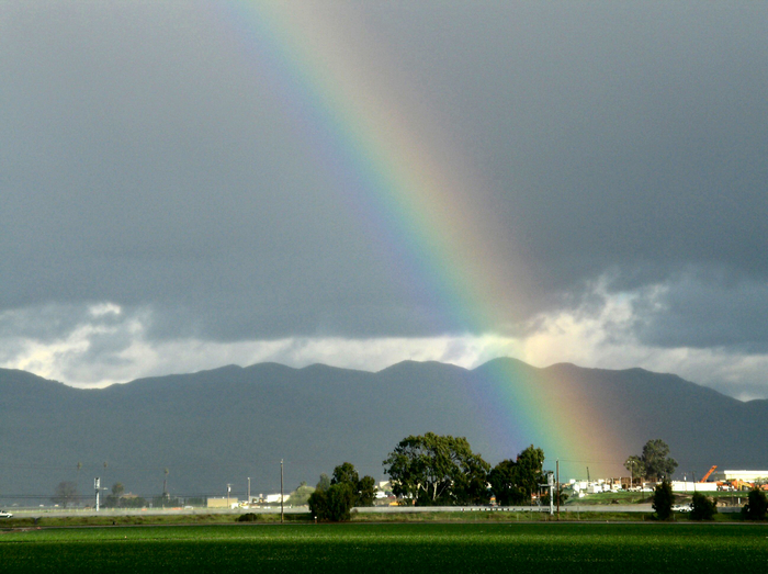 Rainbow