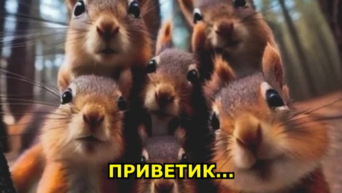     8    , ,  , 