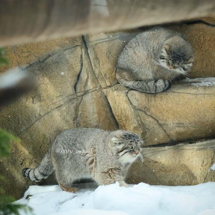 ���� �� ���� ��� ���?