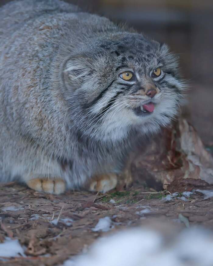 ����� ������ ������� ������� ������