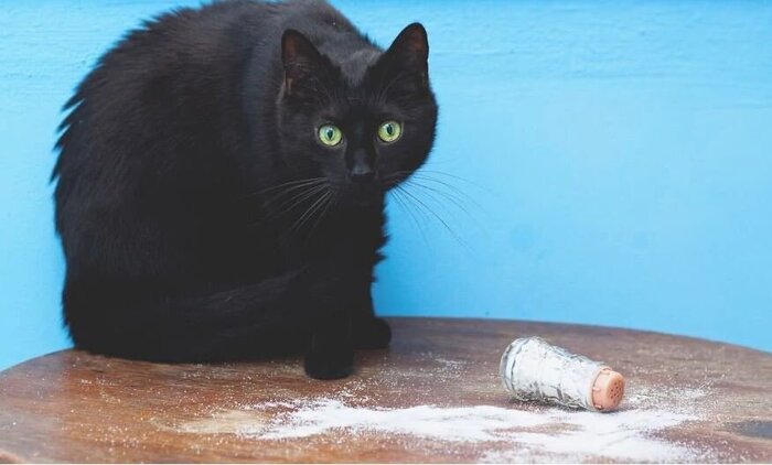 До весны 62 дня