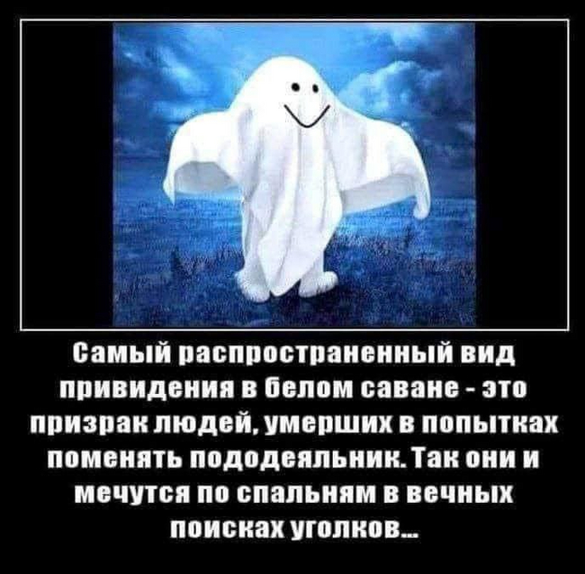   ,  , , Telegram (), , 