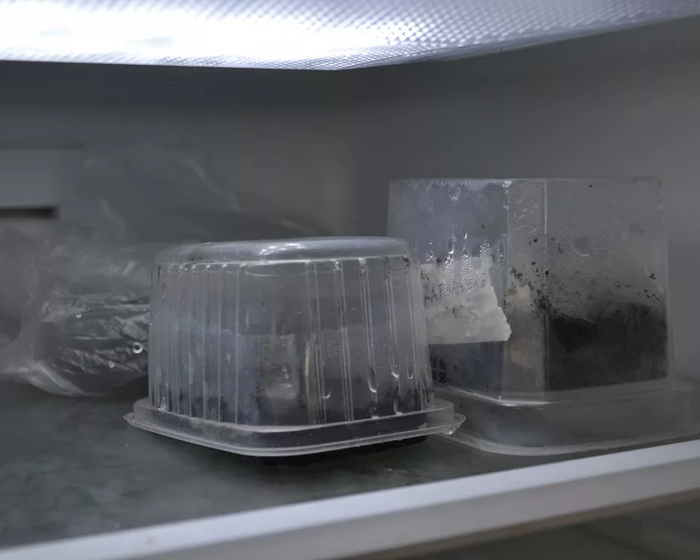 стратификациия семян