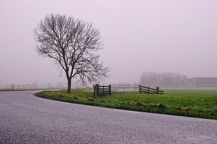 ������ � �����