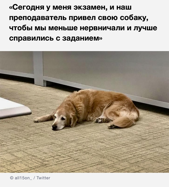 Заботливый преподаватель