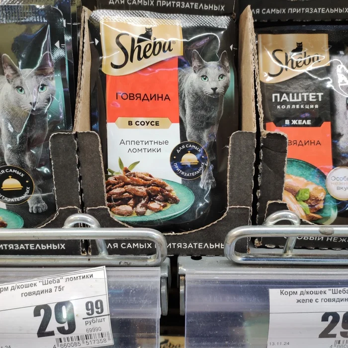 How a cat sees itself - My, cat, Pets, Tabby, Cat lovers, Tricolor cat, Animal feed, The photo