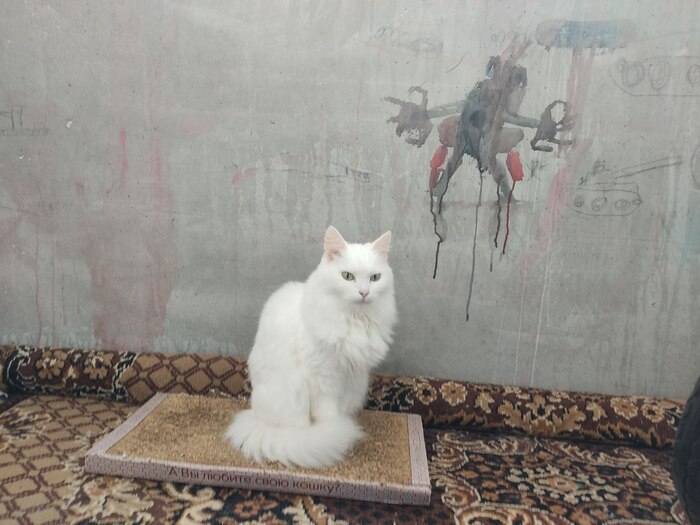 А это последние фото