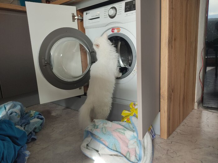 А это последние фото