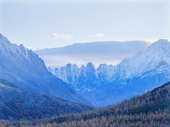 Ÿ ���������� - ����.