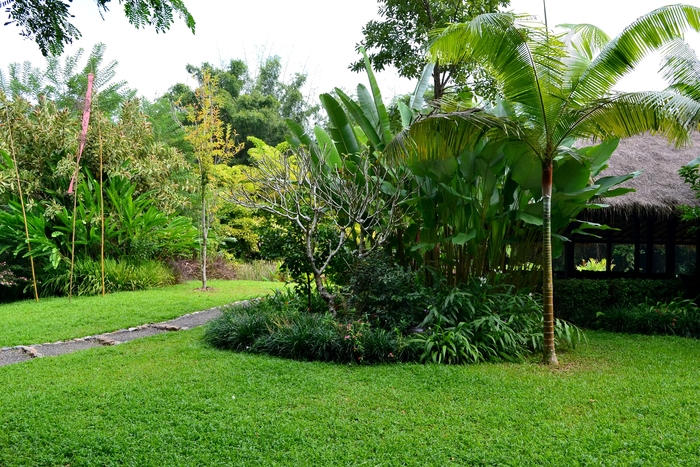   Pha Tad Ke Botanical Garden. ,  , , , , , , , , , , , , , 