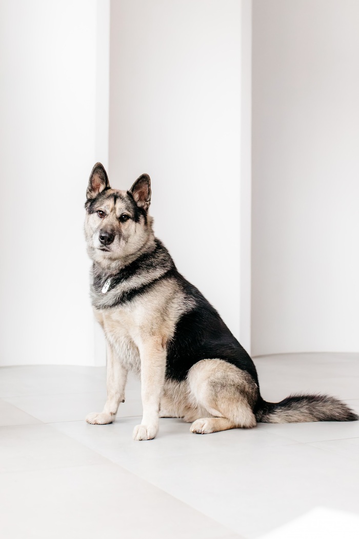 ���� ������ ����, ������ ���� � ������