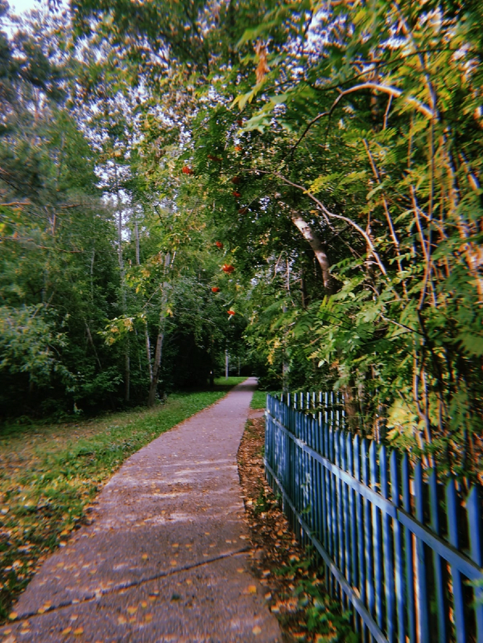  ,  ,   , ,  , ,  , , , 