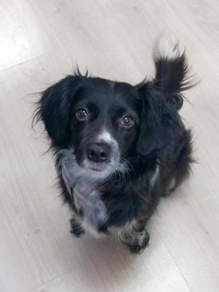 Что у тебя там? Чего ты прячешь?