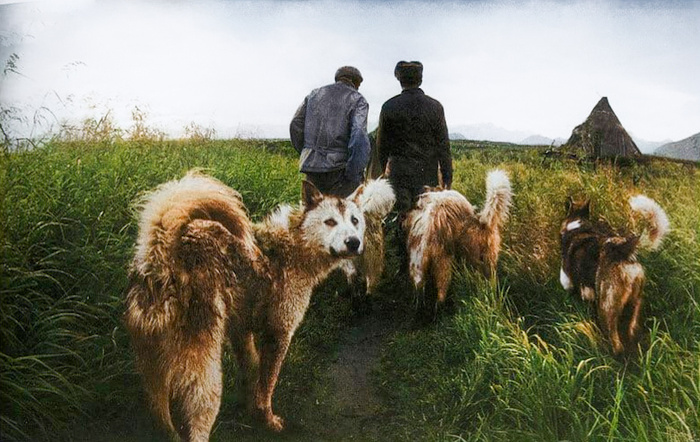 Подборка простых и потрясающих фотографий эпохи СССР. 20 раскрашенных фотографий, Часть XVI Старое фото, Историческое фото, Фотография, СССР, Сделано в СССР, Детство в СССР, 60-е, 70-е, 80-е, Колоризация, Длиннопост