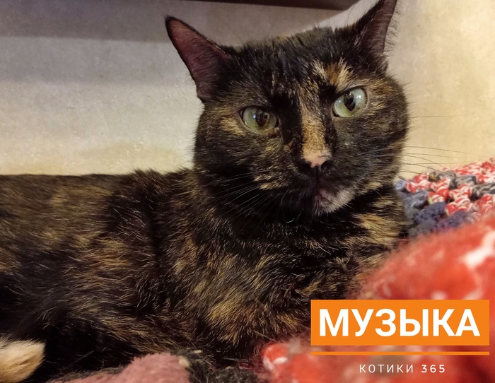 Музыка 29.12.2024