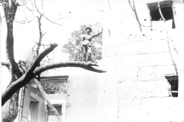 ����, �������� ���� 1984 ���, ���� ������ �������� ��� ������ � ��� �����.