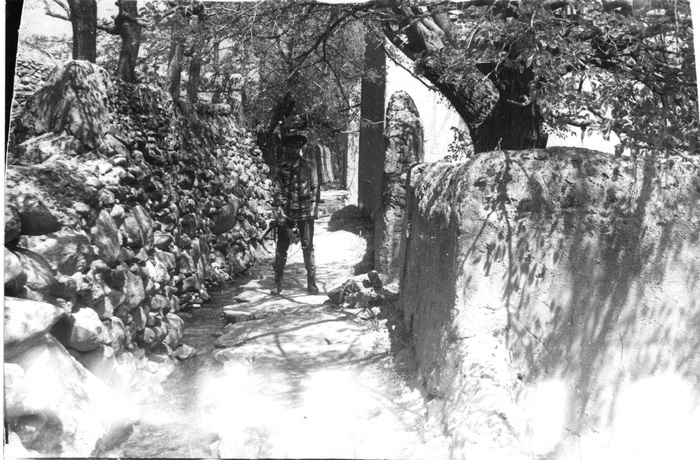 ����, �������� 1984 ���, ������� ���������� � ������� �������.