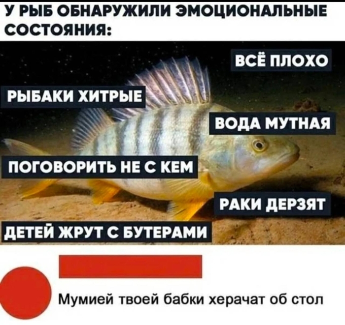 Все плохо