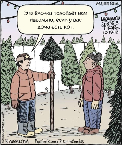 Bizarro #272