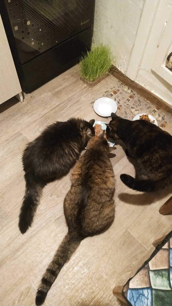    ,    , , , 