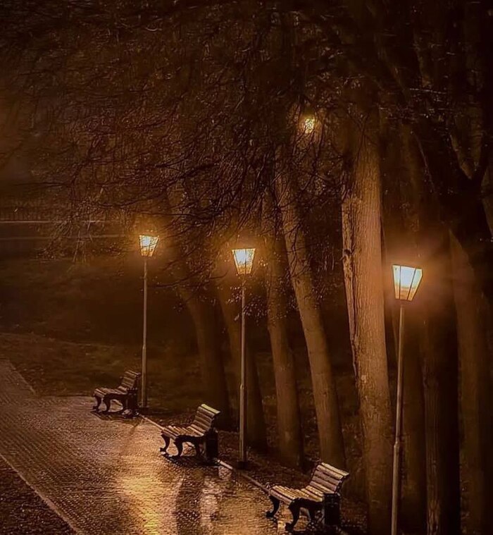 Наш осенний парк.