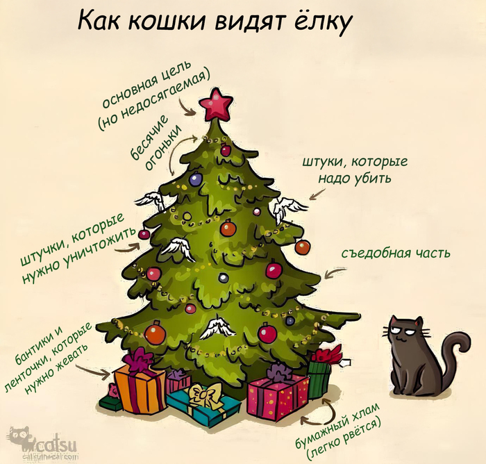     ,  , , ,  , ,  , Catsu