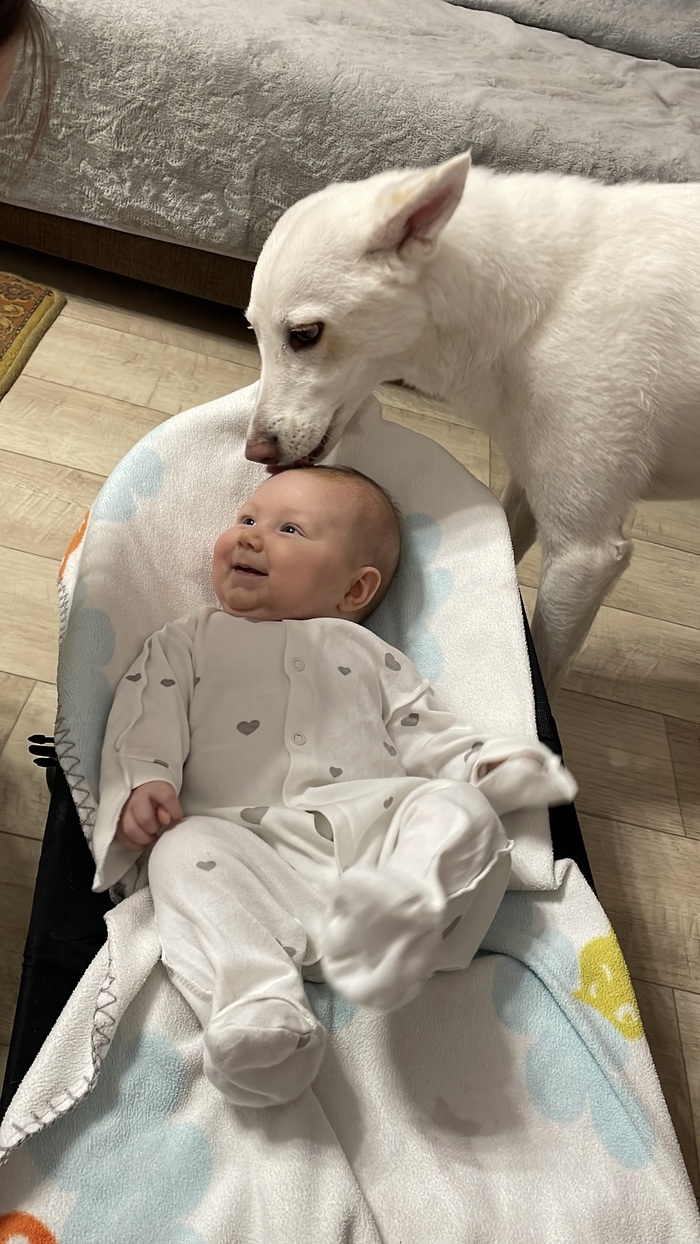    ,     ,      ,            . 