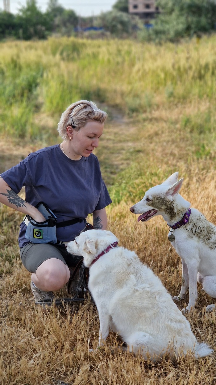    ,    ,            .     ,   )