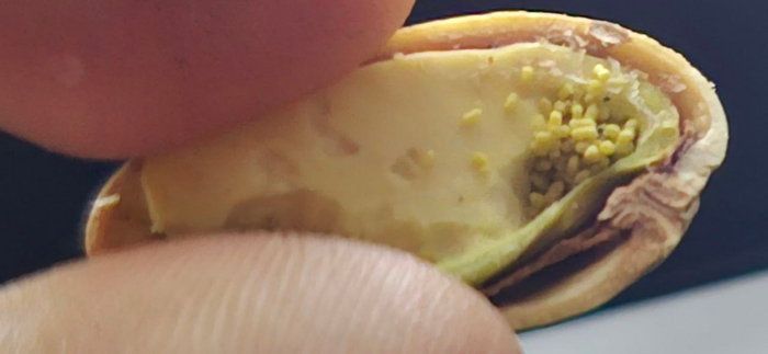 (��� ����� ����� �����)