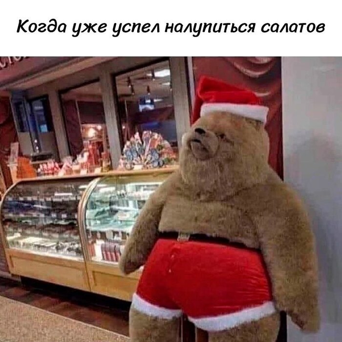 https://cs15.pikabu.ru/post_img/2024/12/30/8/1735564916134026733.jpg