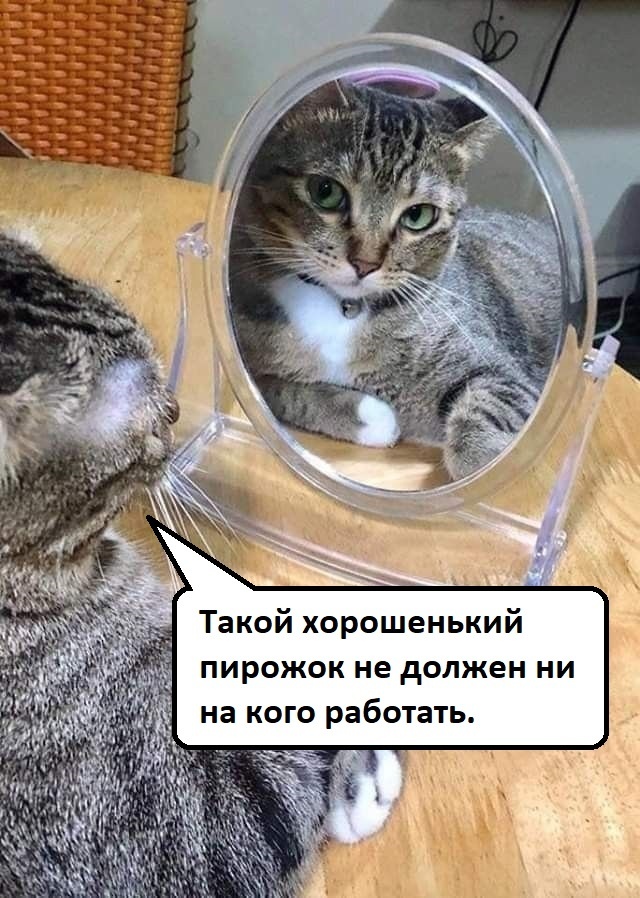   ... ,   , , , 