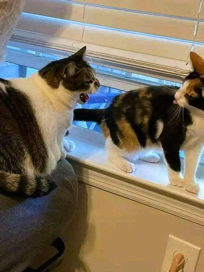 ��� ����� ��� ������ ������� ���� �����